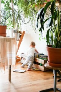 Baby Inspecting Books